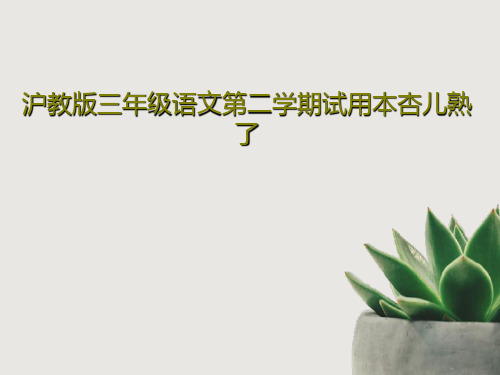 沪教版三年级语文第二学期试用本杏儿熟了20页PPT