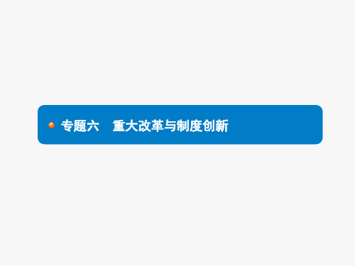 中考历史总复习 专题六 重大改革与制度创新