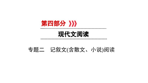 2019陕西中考语文(人教)PPT课件第4部分 专题2