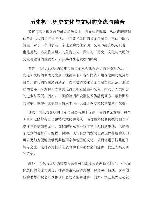 历史初三历史文化与文明的交流与融合