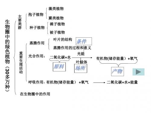 七年级生物生物圈中的绿色植物