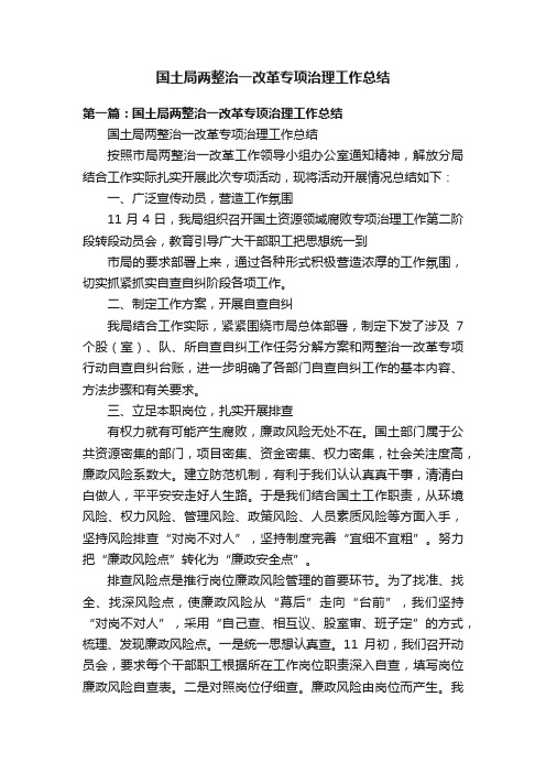 国土局两整治一改革专项治理工作总结