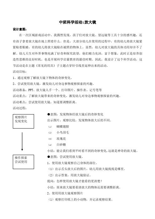 幼儿中班科学放大镜里的秘密教案