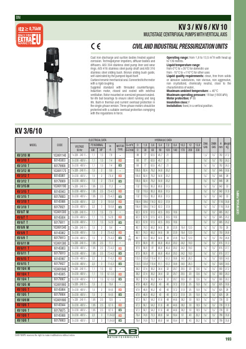 DAB 193 中央气动泵说明书