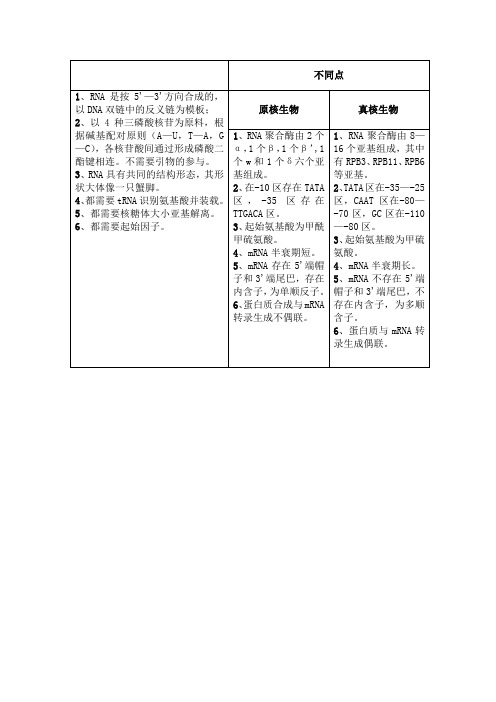 真核生物与原核生物转录翻译异同