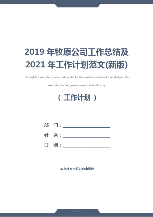 2019年牧原公司工作总结及2021年工作计划范文(新版)