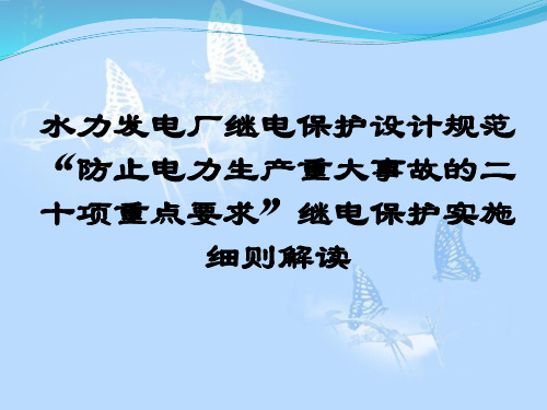 水力发电厂继电保护设计规范-防止电力生产重大事故的二十项重点要求”继电保护实施细则解读
