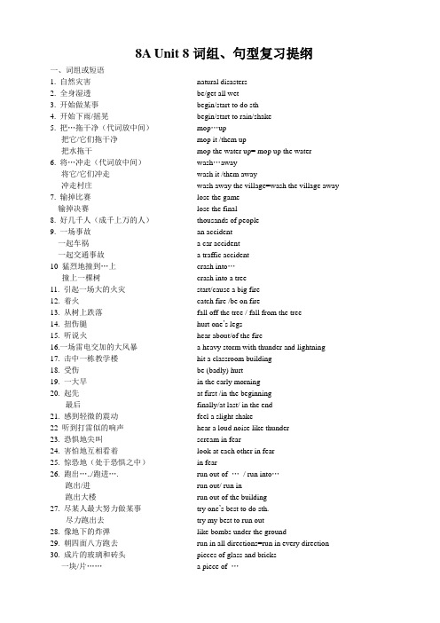 8A Unit 8 Natural Disasters词组句型、句型(中英文版)