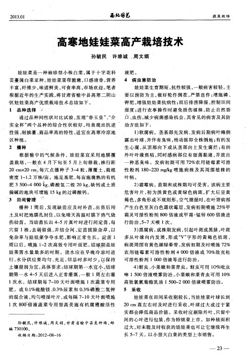 高寒地娃娃菜高产栽培技术