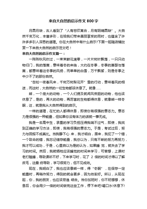 来自大自然的启示作文800字