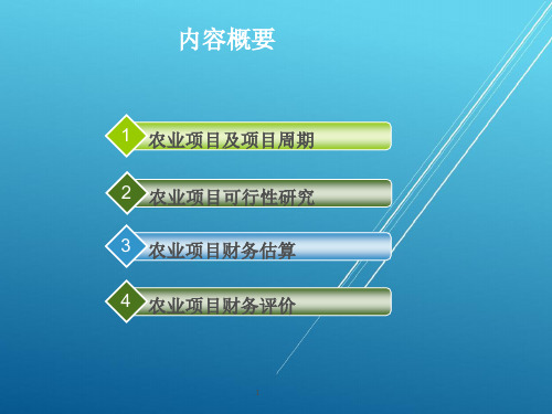 【农业技术经济学】第九章_农业项目可行性研究