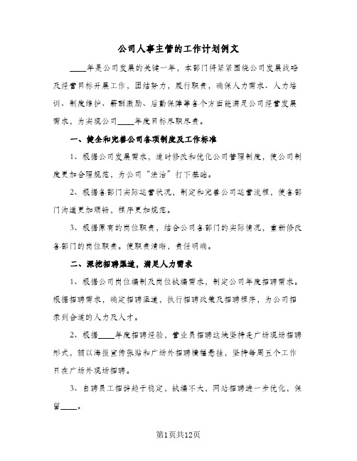 公司人事主管的工作计划例文(三篇)