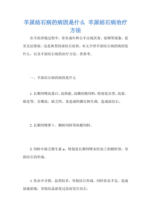 羊尿结石病的病因是什么 羊尿结石病治疗方法