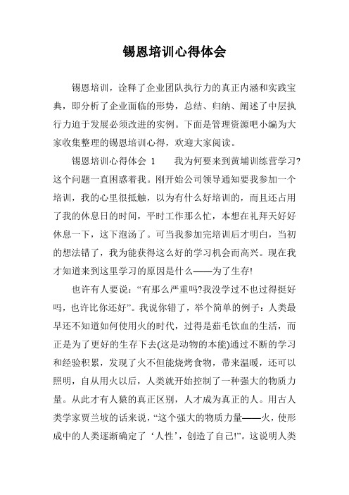 锡恩培训心得体会