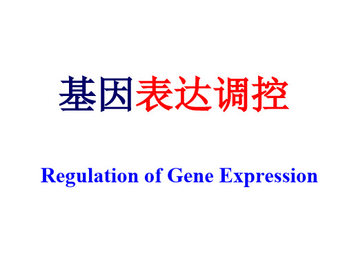 生物化学13章 表达调控1