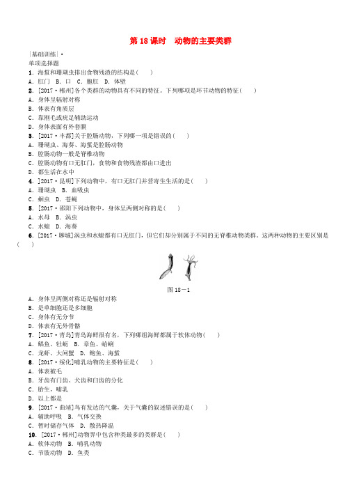 2018年中考生物：第18课时-动物的主要类群课时作业(含答案)