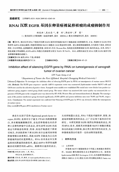 RNAi沉默EGFR基因在卵巢癌裸鼠移植瘤的成瘤抑制作用