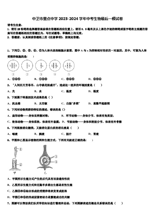 中卫市重点中学2023-2024学年中考生物最后一模试卷含解析