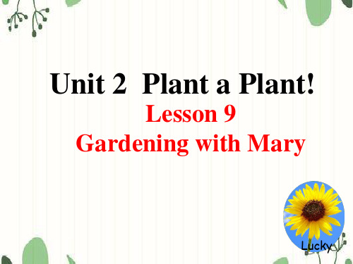 初二英语unit2  lesson9 Gardening with Mary课件