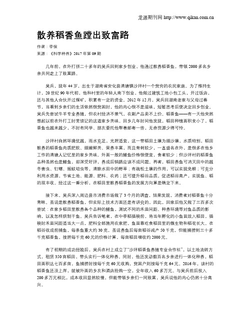 散养稻香鱼蹚出致富路