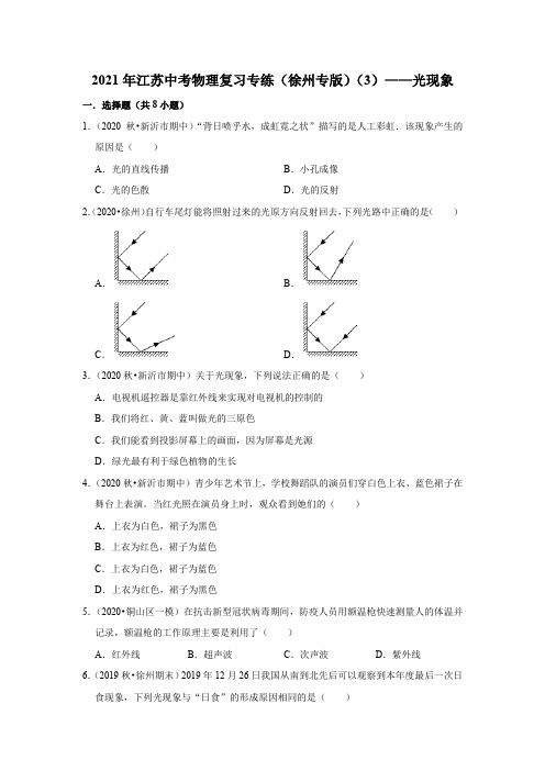 2021年江苏中考物理复习专练(徐州专版)(3)——光现象