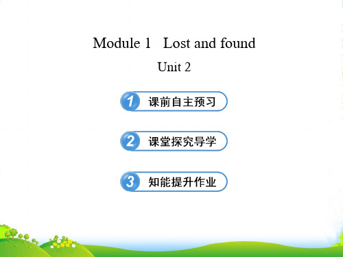 外研版七年级英语下册Module 1 Lost and found Unit 2课件