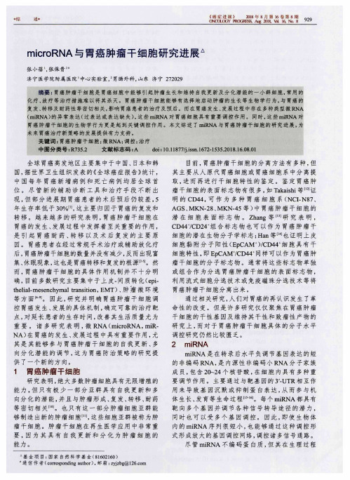 microRNA与胃癌肿瘤干细胞研究进展