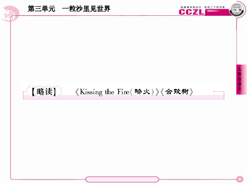 高中语文 散文3【略读】《Kissing the Fire(吻火)》课件《合欢树》 新人教版选修《中国现代诗歌散文欣赏》