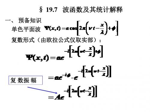 19-7波函数及其统计解释