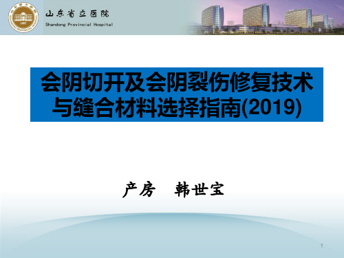 会阴切开及会阴裂伤修复技术与缝合材选择指南 ppt课件