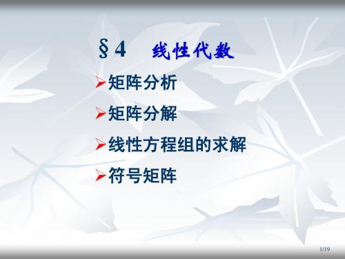 MATLAB学习4线性代数