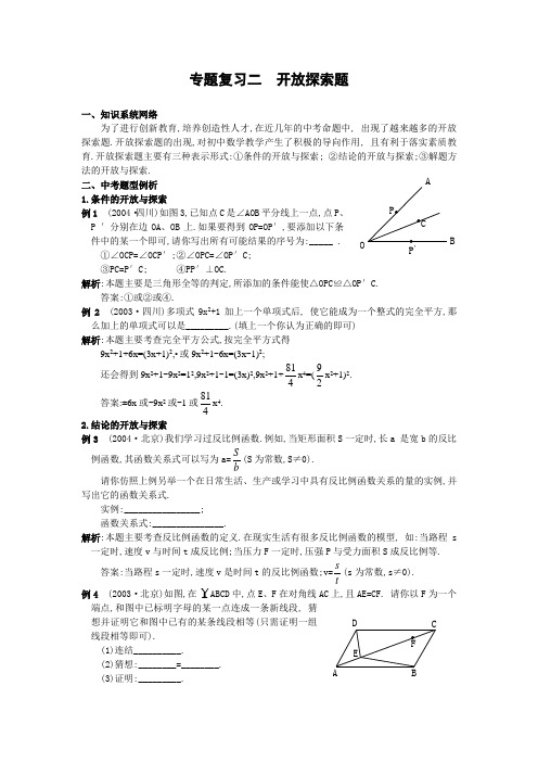 专题复习二  中考数学开放探索题