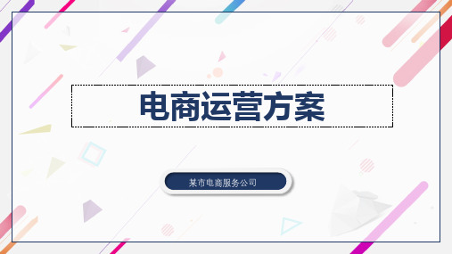 电商运营方案电商运营总监述职报告PPT模板【顶级完整版】