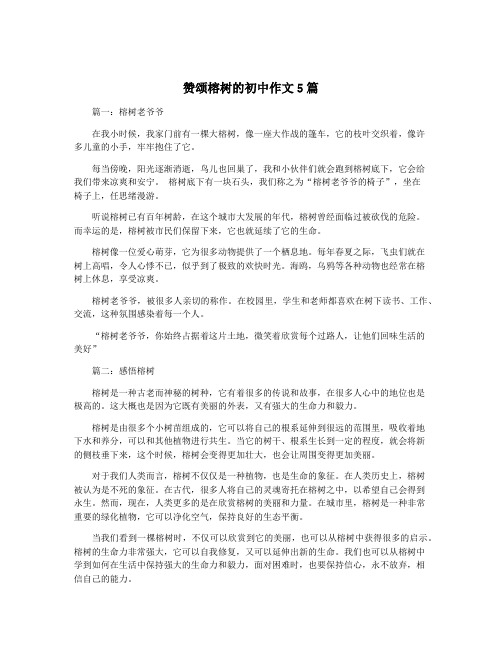 赞颂榕树的初中作文5篇