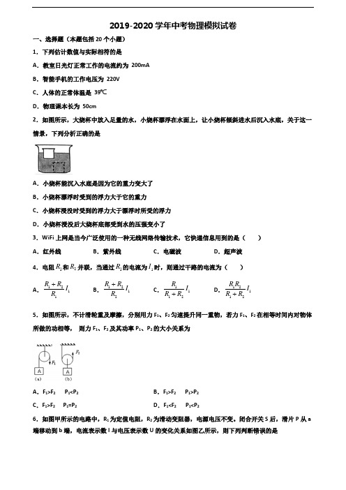 2020学年陕西省咸阳市中考物理达标测试试题