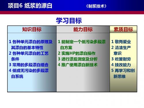 项目6纸浆的漂白制浆技术