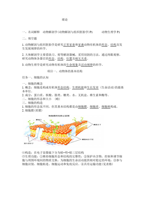 解刨笔记【详细版】