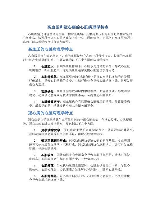 高血压和冠心病的心脏病理学特点