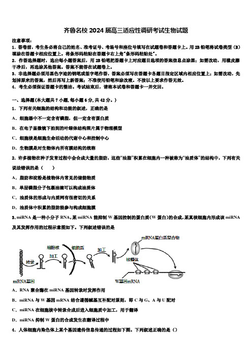 齐鲁名校2024届高三适应性调研考试生物试题含解析