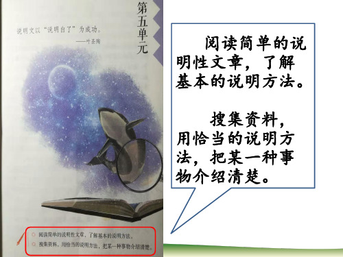 五年级上册语文课件- 《16.太阳》 部编版 (共16张PPT)