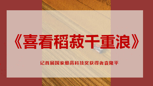 高中语文统编版必修上册4.1《喜看稻菽千重浪》(共37张ppt)