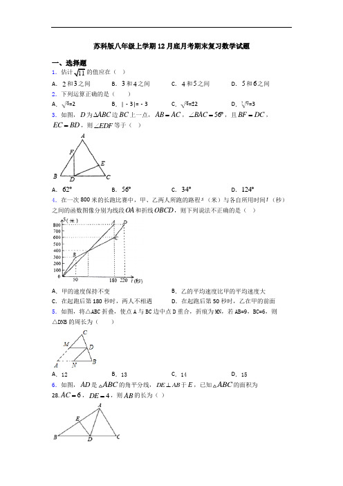 苏科版八年级上学期12月底月考期末复习数学试题