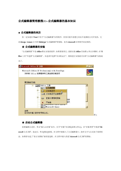 公式编辑器简明教程1--公式编辑器的基本知识