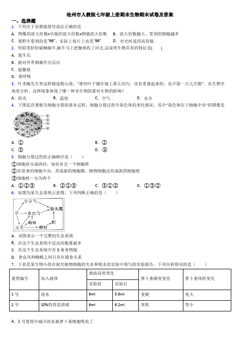 沧州市人教版七年级上册期末生物期末试卷及答案