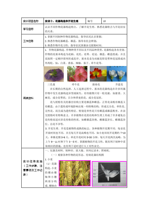 作物种子生产技术实验实训项目单 植物花器构造与授粉