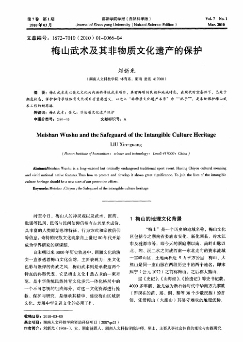 梅山武术及其非物质文化遗产的保护