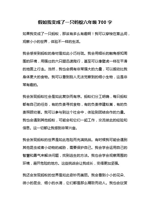 假如我变成了一只蚂蚁六年级700字