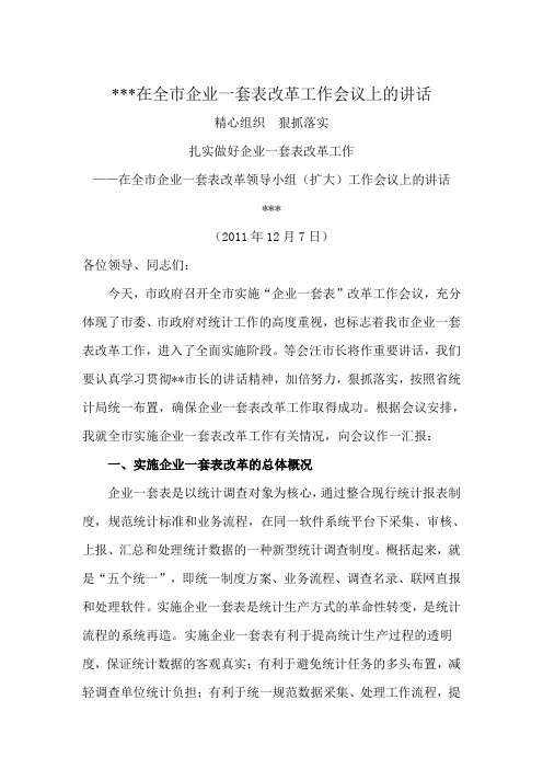 在全市企业一套表改革工作会议上的讲话