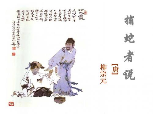 23.捕蛇者说 复习