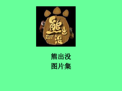 熊出没图片和人物简介-文档资料